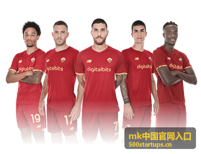 mk中国官网入口资源中心公开课的封面图片